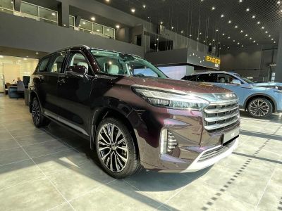 EXEED VX President 2.0 АМТ превью 2