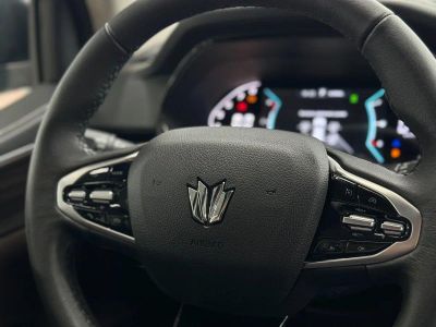 Oting Paladin Престиж 2.0 АКПП превью 7