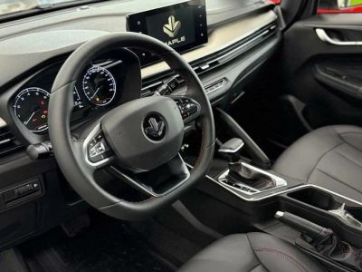 Livan X3 Pro Luxury 1.5 CVT превью 7