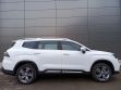 Geely Okavango Flagship 2.0 РКПП, 2024 превью 2