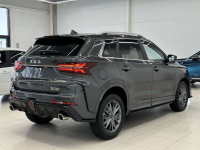 SWM G01F 1.5 АМТ превью 3