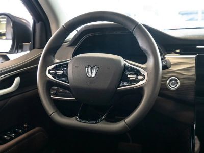 Oting Paladin Премиум 2.0 АКПП превью 5