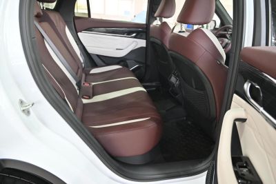 Geely Monjaro Exclusive 2.0 АКПП превью 16
