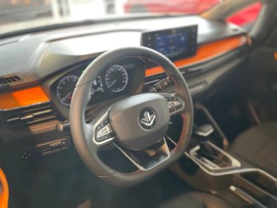 Livan X3 Pro Luxury 1.5 CVT превью 7