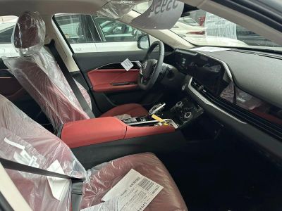 FAW Bestune B70 2.0 АКПП превью 5