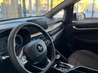 Livan X3 Pro Luxury 1.5 CVT превью 5