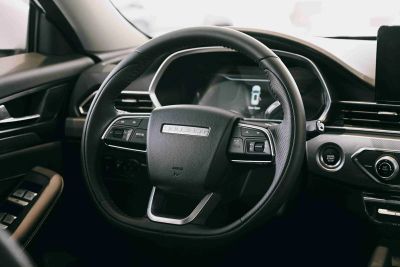 Soueast DX8S Elite (China) 1.5 АМТ превью 6