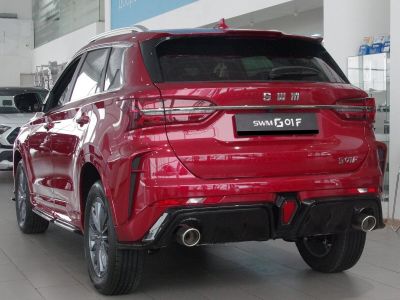 SWM G01F Force 1.5 АМТ превью 3